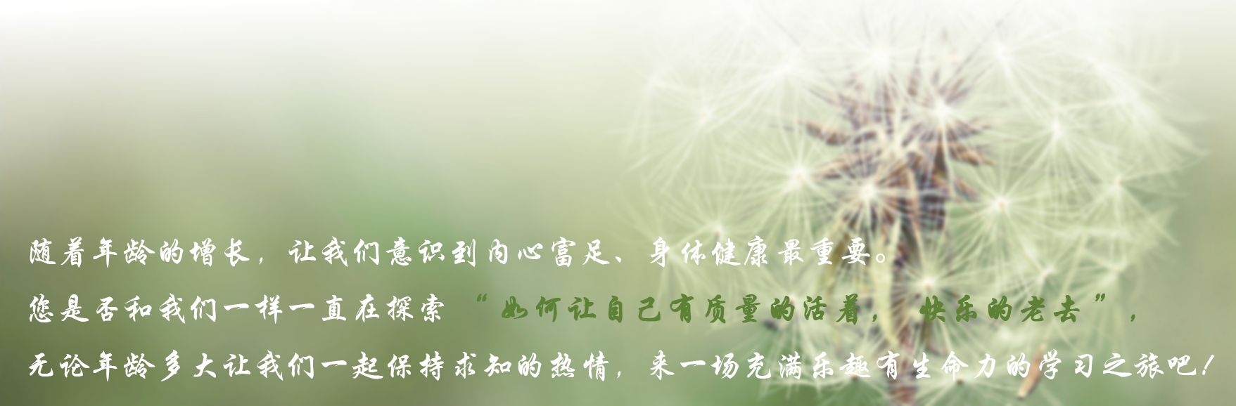 1703731265388815.png 0.png